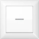 Jung AS range volle afdekplaat + schakelwip controleschakelaar as500 enkele wip wit RAL 9016 AS590KO5WW