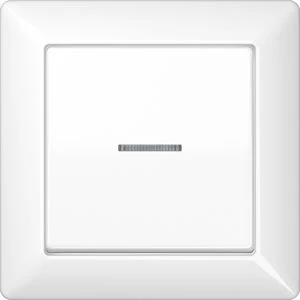 Jung AS range volle afdekplaat + schakelwip controleschakelaar as500 enkele wip wit RAL 9016 AS590KO5WW