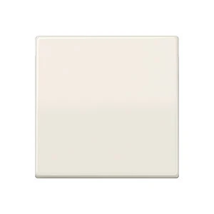 Jung AS range centraalplaat + schakelwip voor 1- 2- en 3-polig as500 enkele wip wit RAL 1013 AS591