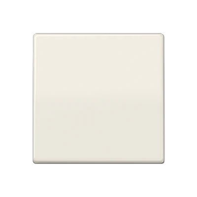 Jung AS range centraalplaat + schakelwip voor 1- 2- en 3-polig as500 enkele wip wit RAL 1013 AS591