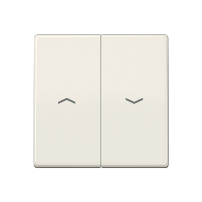 Jung AS range Centraalplaat + schakelwip tweedelige wip wit RAL 1013 AS591-5PBF