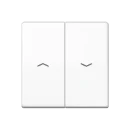 Jung AS range Centraalplaat + schakelwip tweedelige wip wit RAL 9016 AS591-5PBFWW