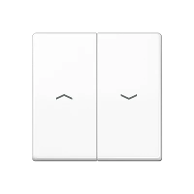 Jung AS range Centraalplaat + schakelwip tweedelige wip wit RAL 9016 AS591-5PBFWW