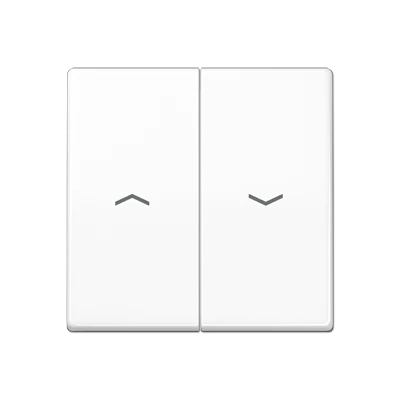 Jung AS range centraalplaat + schakelwippen as500 tweedelige wip wit RAL 9016 AS591-5PWW