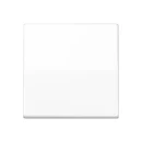 Jung AS range Centraalplaat + schakelwip schroefbaar enkele wip wit RAL 9016 AS591BFWW