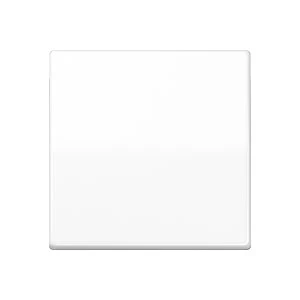 Jung AS range Centraalplaat + schakelwip schroefbaar enkele wip wit RAL 9016 AS591BFWW