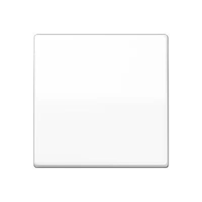 Jung AS range Centraalplaat + schakelwip schroefbaar enkele wip wit RAL 9016 AS591BFWW