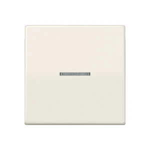 Jung AS range centraalplaat + schakelwip controleschakelaar a(s)500 enkele wip wit RAL 1013 AS591KO5