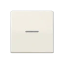 Jung AS range centraalplaat + schakelwip controleschakelaar a(s)500 enkele wip wit RAL 1013 AS591KO5