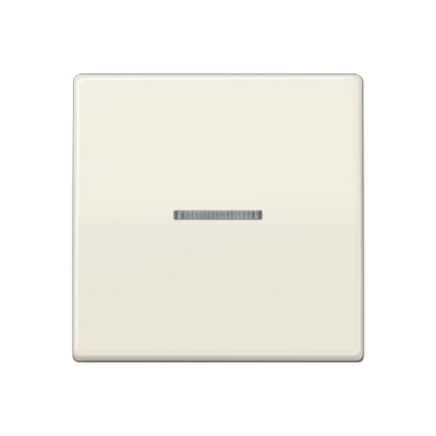 Jung AS range centraalplaat + schakelwip controleschakelaar a(s)500 enkele wip wit RAL 1013 AS591KO5