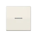 Jung AS range Centraalplaat + schakelwip schroefbaar enkele wip wit RAL 1013 AS591KO5BF