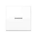 Jung AS range Schakelwip universeel controleschakelaar enkele wip wit RAL 9016 AS591KO5BFSWW