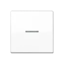 Jung AS range Schakelwip universeel controleschakelaar enkele wip wit RAL 9016 AS591KO5BFSWW