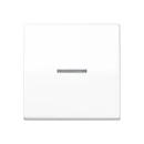 Jung AS range Centraalplaat + schakelwip schroefbaar enkele wip wit RAL 9016 AS591KO5BFWW