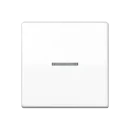 Jung AS range Centraalplaat + schakelwip schroefbaar enkele wip wit RAL 9016 AS591KO5BFWW