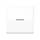 Jung AS range centraalplaat + schakelwip controleschakelaar a(s)500 enkele wip wit RAL 9016 AS591KO5WW