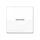 Jung AS range centraalplaat + schakelwip controleschakelaar a(s)500 enkele wip wit RAL 9016 AS591KO5WW