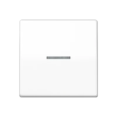 Jung AS range centraalplaat + schakelwip controleschakelaar a(s)500 enkele wip wit RAL 9016 AS591KO5WW