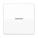 Jung CD range schakelwip controleschakelaar cd500 enkele wip wit RAL 9016 CD590KO5WW