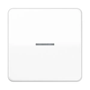 Jung CD range schakelwip controleschakelaar cd500 enkele wip wit RAL 9016 CD590KO5WW