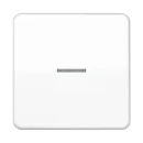 Jung CD range schakelwip controleschakelaar cd500 enkele wip wit RAL 9016 CD590KO5WW