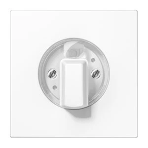 Jung LS range Centraalplaat LS990 + knop timers draaiknop wit RAL 9016 LS1941WW