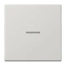 Jung LS range schakelwip controleschakelaar ls990 enkele wip grijs RAL 7035 LS990KO5LG