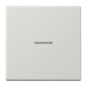 Jung LS range schakelwip controleschakelaar ls990 enkele wip grijs RAL 7035 LS990KO5LG