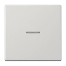 Jung LS range schakelwip controleschakelaar ls990 enkele wip grijs RAL 7035 LS990KO5LG