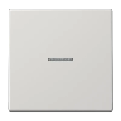 Jung LS range schakelwip controleschakelaar ls990 enkele wip grijs RAL 7035 LS990KO5LG