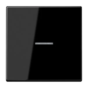 Jung LS range schakelwip controleschakelaar ls990 enkele wip zwart RAL 9005 LS990KO5SW