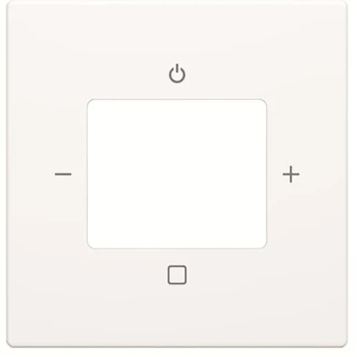 ABB Busch-Jaeger Future Axcent Centraalplaat digitale radio wit RAL 9016 2CKA008200A0258