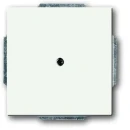 ABB Busch-Jaeger Future Axcent Centraalplaat blind wit RAL 9016 2CKA001710A3873