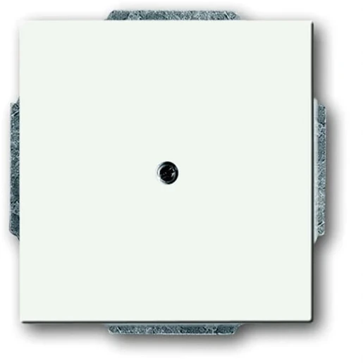 ABB Busch-Jaeger Future Axcent Centraalplaat blind wit RAL 9016 2CKA001710A3873