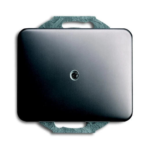 ABB Busch-Jaeger Alpha Centraalplaat blind platina 2CKA001753A1118