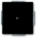 ABB Busch-Jaeger Future Axcent Carat Centraalplaat blind zwart RAL 9005 2CKA001710A3895