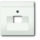 ABB Busch-Jaeger Future Axcent Centraalplaat datadoos RJ45 Jack plug Centraalplaat 1 connector Met label wit 2CKA001710A3889