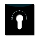 ABB Busch-Jaeger centraalplaat slot 2733usl aan / uit sleutel antraciet RAL 7021 2CKA001710A1902