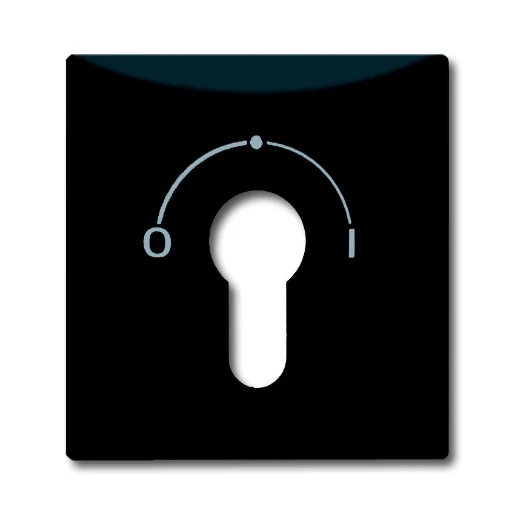 ABB Busch-Jaeger centraalplaat slot 2733usl aan / uit sleutel antraciet RAL 7021 2CKA001710A1902