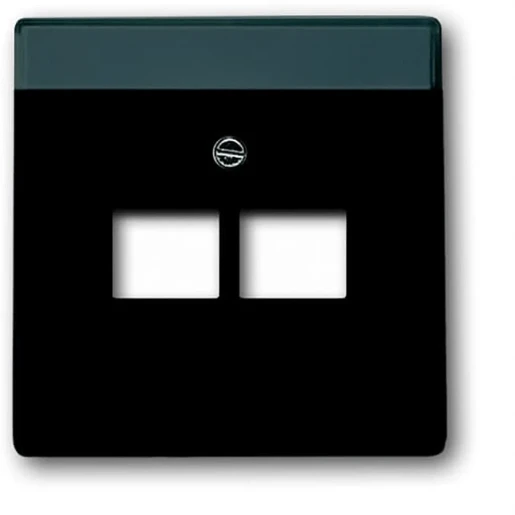 ABB Busch-Jaeger Future Axcent Carat Centraalplaat datadoos RJ45 Jack plug Centraalplaat 2 connectoren Met label zwart 2CKA001710A3911