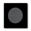 ABB Busch-Jaeger Future Axcent Carat Centraalplaat radioluidspreker zwart RAL 9005 2CKA008200A0126