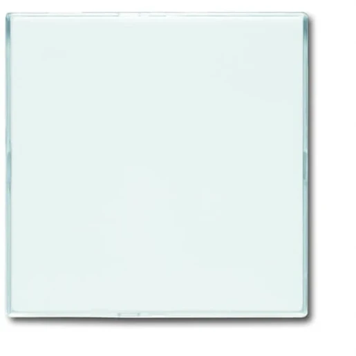 ABB Busch-Jaeger Future Solo Axcent Carat Infoli Infoline centraalplaat blind wit RAL 9016 2CKA001582A0355