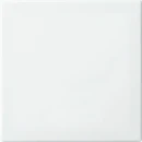 ABB Busch-Jaeger Fohue bedieningswip enkel balance enkele wip wit RAL 9010 2CKA006730A0151