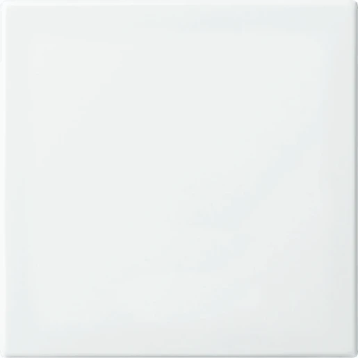 ABB Busch-Jaeger Fohue bedieningswip enkel balance enkele wip wit RAL 9010 2CKA006730A0151