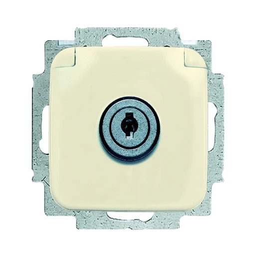 ABB Busch-Jaeger SI wandcontactdoos centraalplaat + eenheid slot inbouw 16A 250V RA Glanzend RAL 1013 IP20 2CKA002018A1474