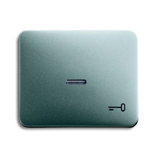 ABB Busch-Jaeger Alpha bedieningselement + lens pulsdrukker aan / uit enkele wip titanium 2CKA001751A2841