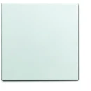 ABB Busch-Jaeger Balance Infoline centraalplaat 1561u si-b wit RAL 9010 2CKA001582A0401