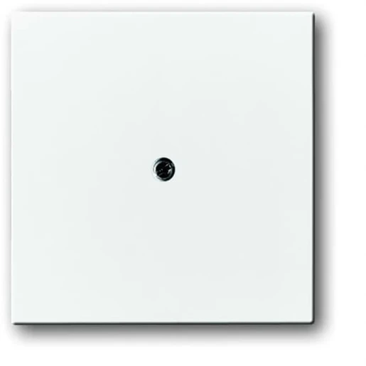 ABB Busch-Jaeger Future Solo Axcent Carat centraalplaat 1x uit boring 10mm Jack plug Centraalplaat Zonder label wit 2CKA001710A3173