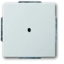 ABB Busch-Jaeger Centraalplaat blind RVS 2CKA001710A3751