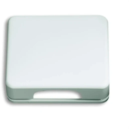 ABB Busch-Jaeger Alpha Centraalplaat KD/TAE Voor dataansluitkast Bedieningselement Zonder label wit 2CKA001753A7719